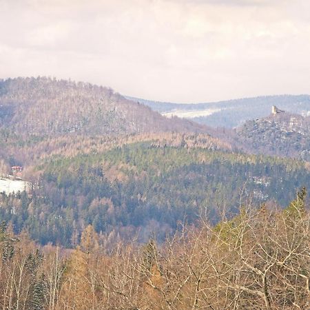 Willa "Sniezna Kopa"-Agroturystyka Pro Zdrowotna Βίλα Sosnówka Εξωτερικό φωτογραφία